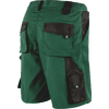 Short ALLROUND GREEN - vert/noir image 0