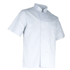 Veste de travail cuisinier MC AUBERGINE - BLANC image 0