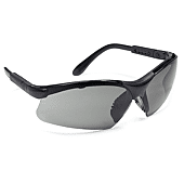 (Lot de 10) Lunettes de protection THETA teintées image
