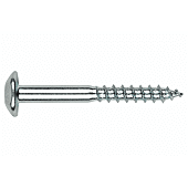 Boite de 100 vis inviolable - Empreinte Torx- Zinguée image