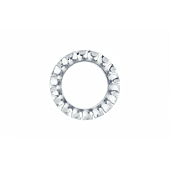 Brut rondelle éventail à denture extérieure - Zingué image