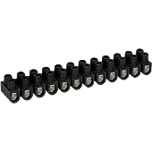 Domino électrique - Barrette acier noire 12 plots à vis image
