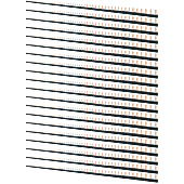 (Lot de 20) Peignes panachés 1m N&B (56 modules) image