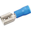 Assortiment de cosses x160 image 16