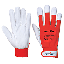 XL - Taille 10 image