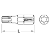 Embout pour tournevis à frapper TORX® image 2