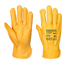 XL - Taille 10 image