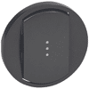 Enjoliveur Céliane interrupteur - Graphite-Simple commande voyant image 0